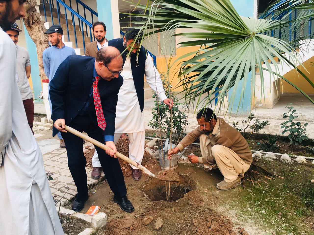 "Plantation Drive for green and healthy Pakistan "