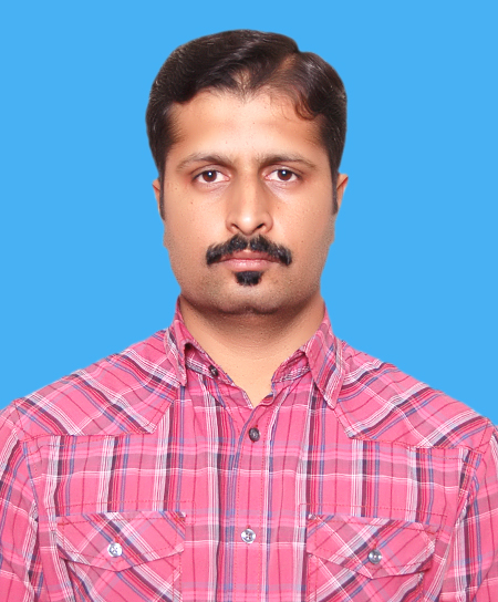 Dr.-Ing M Rizwan Amirzada